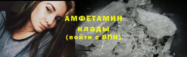 гидра Абаза