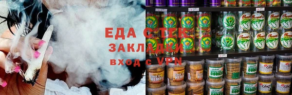 гидра Абаза