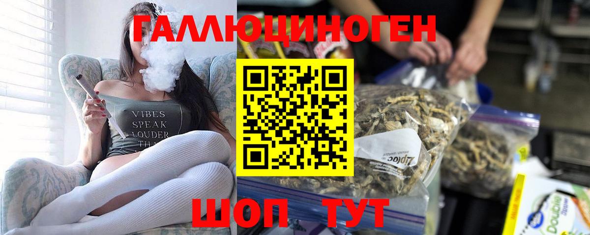 Одинцово  Псилоцибиновые грибы ЛСД  Вход с VPN  Псилоцибиновые грибы ЛСД 