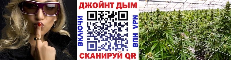 дарк нет как зайти  цены наркотик  KRAKEN ссылка  Одинцово  Конопля тримм 